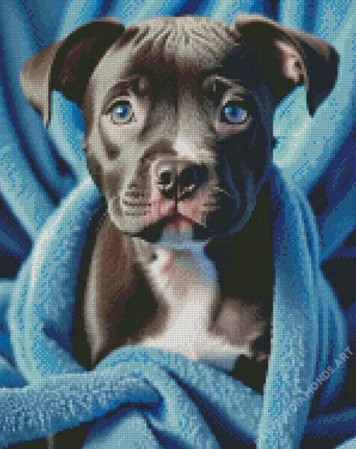 Blue Eyed Staffy Diamond Painting