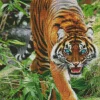 Blue Eyed Tiger Diamond Painting