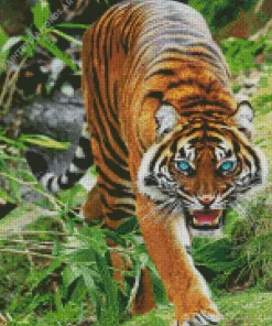 Blue Eyed Tiger Diamond Painting