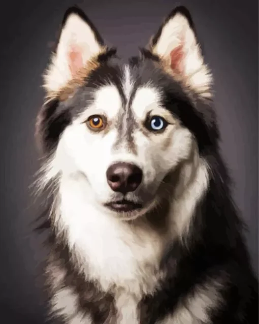 Blue Eyes Husky Diamond Painting