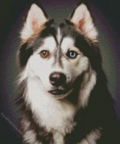 Blue Eyes Husky Diamond Painting