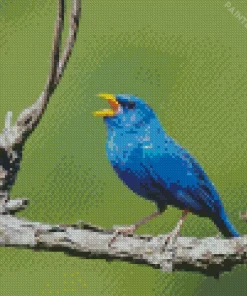 Blue Finch Bird On Branch Diamond Painting