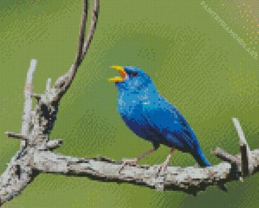 Blue Finch Bird On Branch Diamond Painting