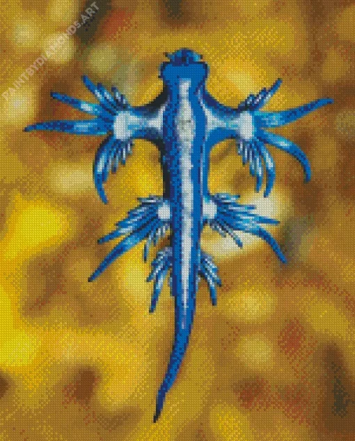 Blue Glaucus Nudibranch Diamond Painting