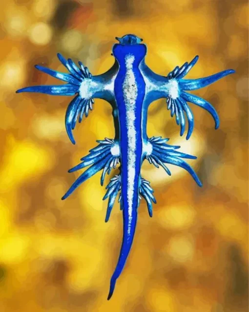 Blue Glaucus Nudibranch Diamond Painting