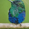 Blue Green Hummingbird Diamond Painting