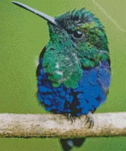 Blue Green Hummingbird Diamond Painting