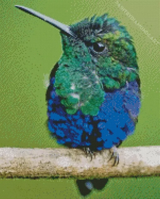 Blue Green Hummingbird Diamond Painting