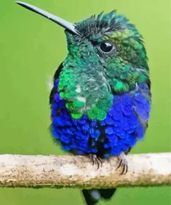 Blue Green Hummingbird Diamond Painting