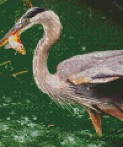 Blue Heron Eating Diamond Painting