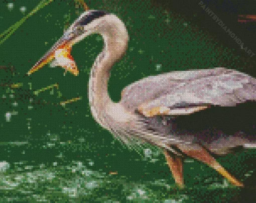 Blue Heron Eating Diamond Painting