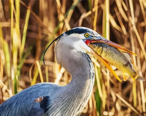 Blue Heron Eating Fish Diamond Painting