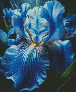 Blue Iris Diamond Painting