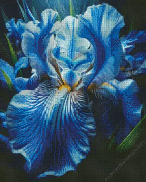 Blue Iris Diamond Painting