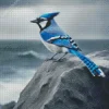 Blue Jay Diamond Painting