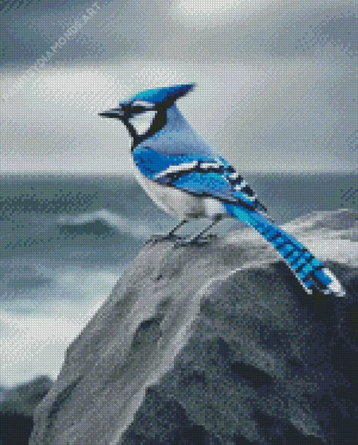 Blue Jay Diamond Painting