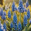 Blue Lupine Flowers Diamond Painting