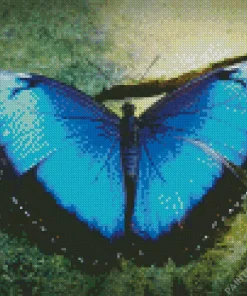 Blue Morpho Butterfly Diamond Painting