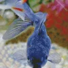 Blue Oranda Fish Diamond Painting