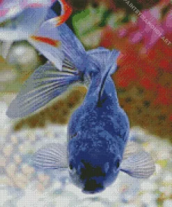 Blue Oranda Fish Diamond Painting