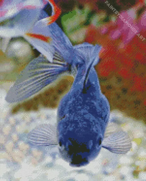 Blue Oranda Fish Diamond Painting