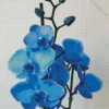 Blue Orchid Diamond Painting