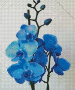 Blue Orchid Diamond Painting