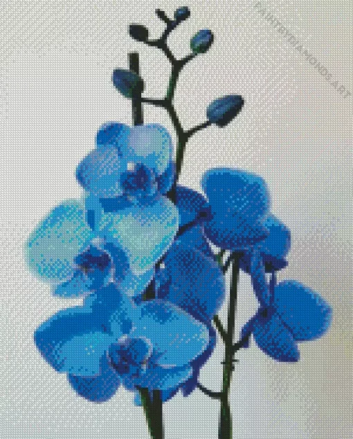 Blue Orchid Diamond Painting