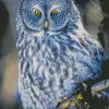 Blue Owl In The Philippines Diamond Painting