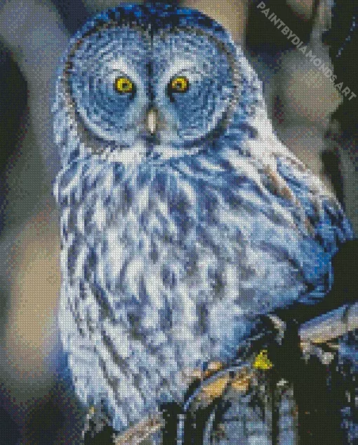 Blue Owl In The Philippines Diamond Painting