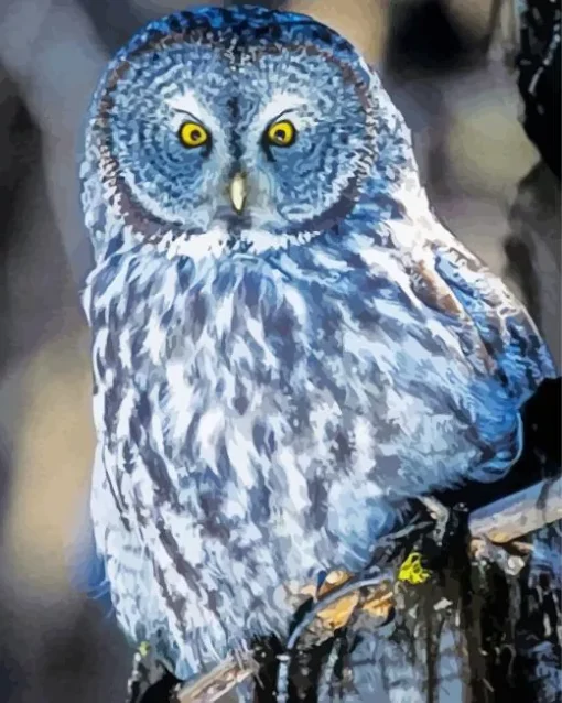 Blue Owl In The Philippines Diamond Painting