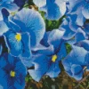 Blue Pansy Flowers Diamond Painting