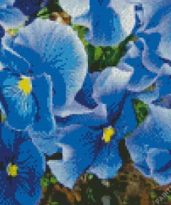 Blue Pansy Flowers Diamond Painting