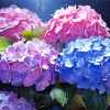 Blue Pink Purple Hydrangea Diamond Painting