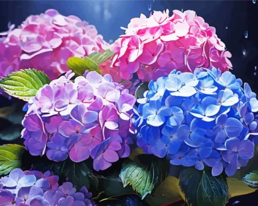 Blue Pink Purple Hydrangea Diamond Painting