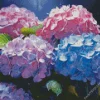 Blue Pink Purple Hydrangea Diamond Painting