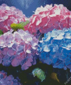 Blue Pink Purple Hydrangea Diamond Painting