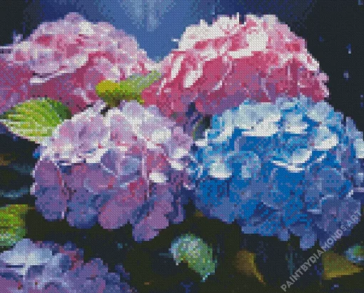 Blue Pink Purple Hydrangea Diamond Painting