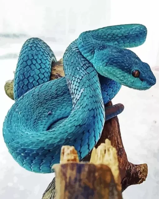 Blue Pit Viper Diamond Painting