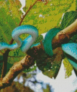 Blue Pit Viper Snake Diamond Painting