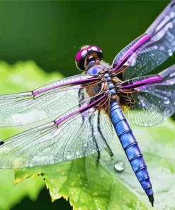 Blue Purple Dragonfly Diamond Painting