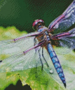 Blue Purple Dragonfly Diamond Painting