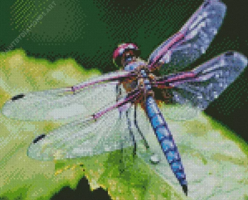 Blue Purple Dragonfly Diamond Painting