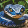 Blue Racer Snake Diamond Painting