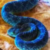 Blue Spiny Bush Viper Diamond Painting