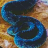 Blue Spiny Bush Viper Diamond Painting