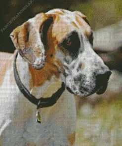 Fawnequin Great Dane Diamond Painting