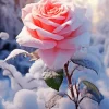 Pink Rose In Snow Diamond Painting