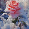 Pink Rose In Snow Diamond Painting