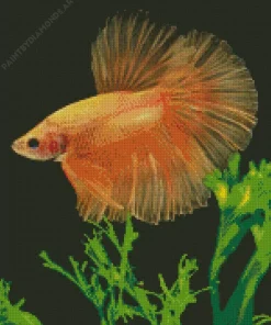 Yellow Betta Fish Diamond Painting